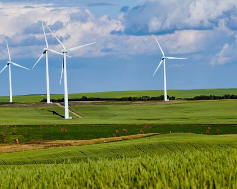 white windmill