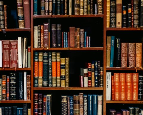 assorted-title of books piled in the shelves