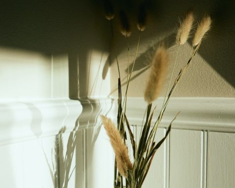 brown dried plant on clear glass vase