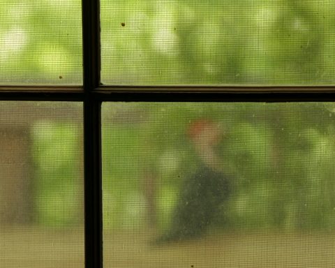 a bird sitting on a window sill in front of a tree