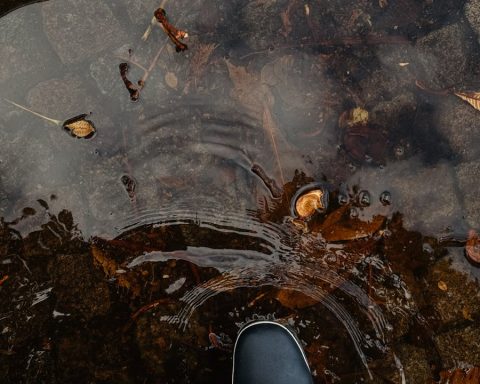 Black boots stand in a rain puddle with autumn leaves.