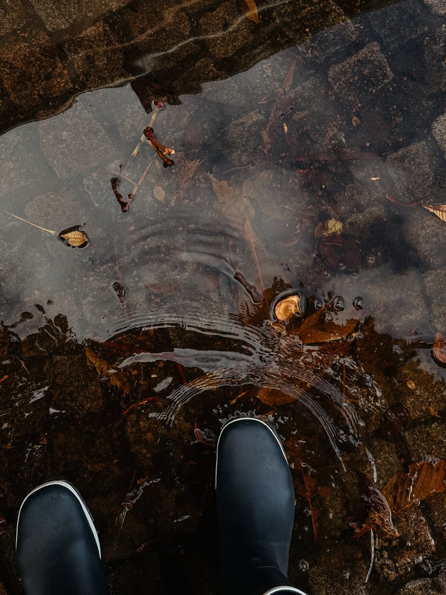 Black boots stand in a rain puddle with autumn leaves.