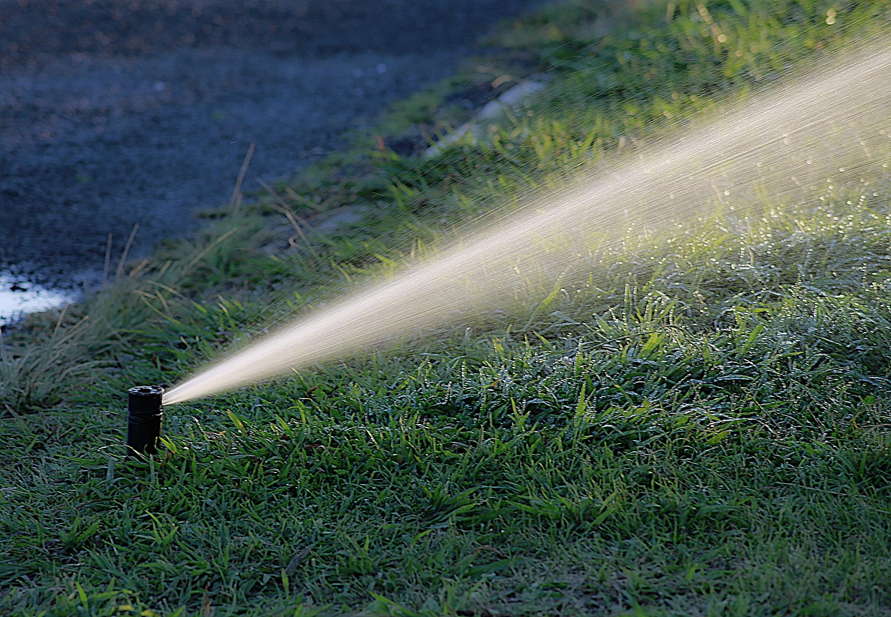 Iemand die vroeg in de ochtend de tuin water geeft met een gieter tussen bloeiende planten