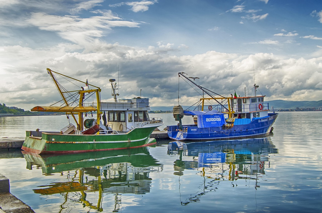 Kleurrijke boten in de haven van een Nederlands visserdorp