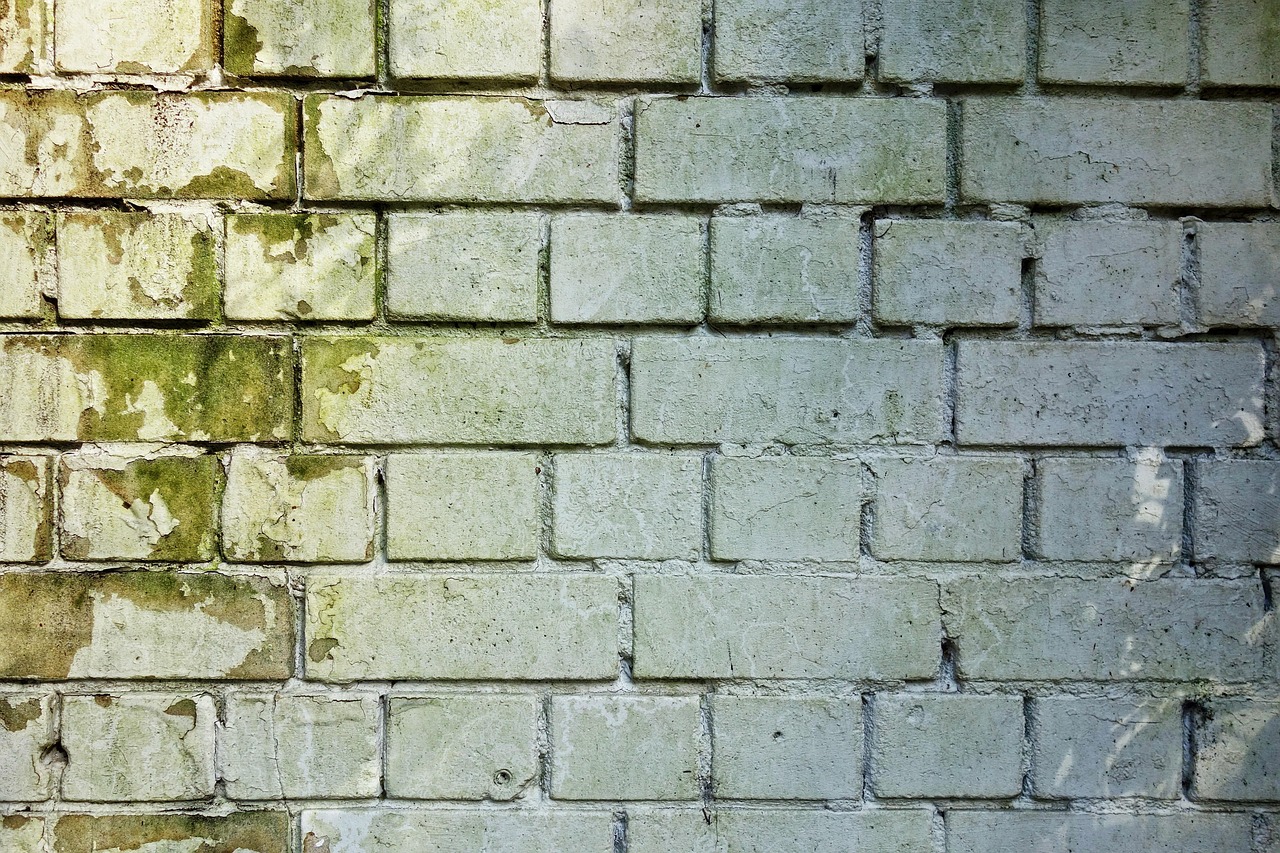Donkere schimmelplekken in een muurhoek bij een raamkozijn
