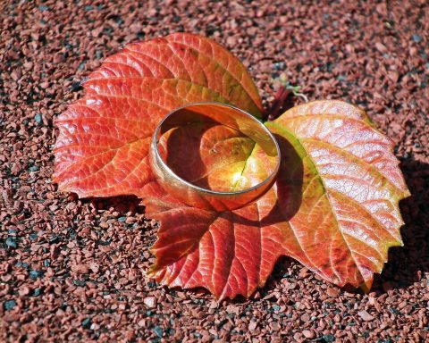 Een kleine gouden ketting en studs oorbellen op een houten ondergrond in herfstsfeer