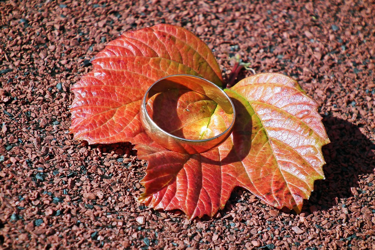 Een kleine gouden ketting en studs oorbellen op een houten ondergrond in herfstsfeer